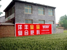 灵璧如何让墙体广告展现最大化效果