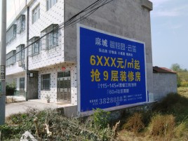 灵璧墙体广告质量分析